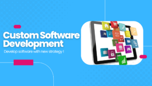 How Custom Software Development can benefit your business